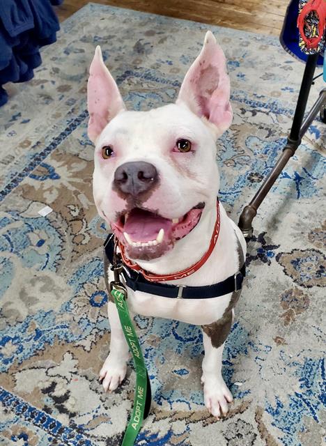 Photo of PETEY