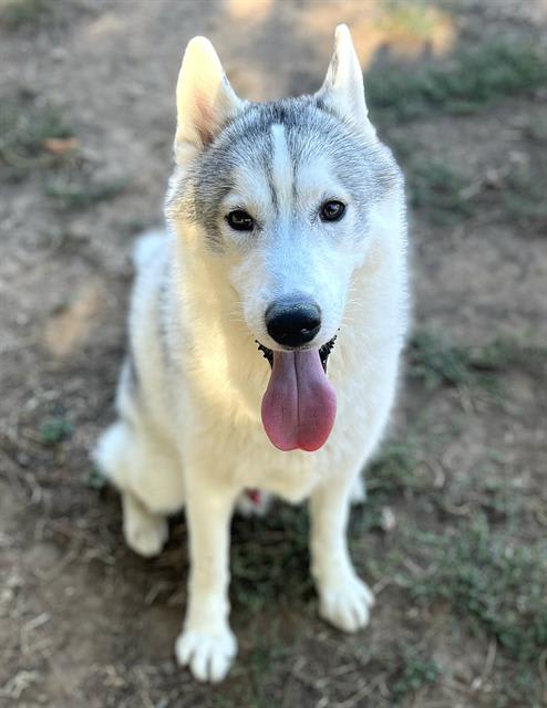Photo of DISCO