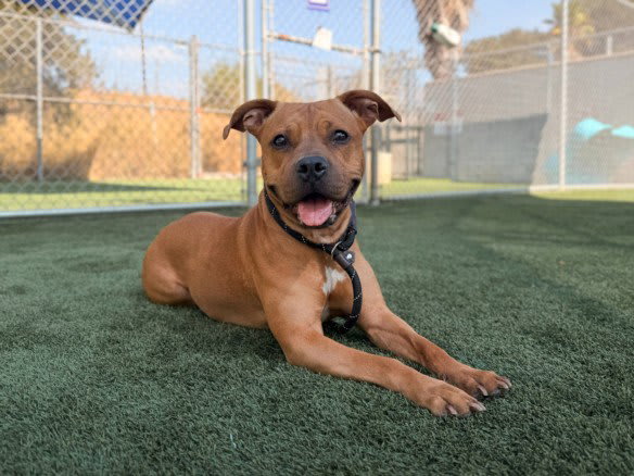 Photo of ROXY