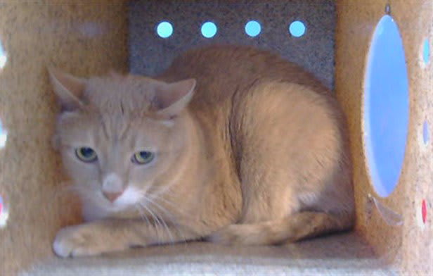 Photo of MATEO