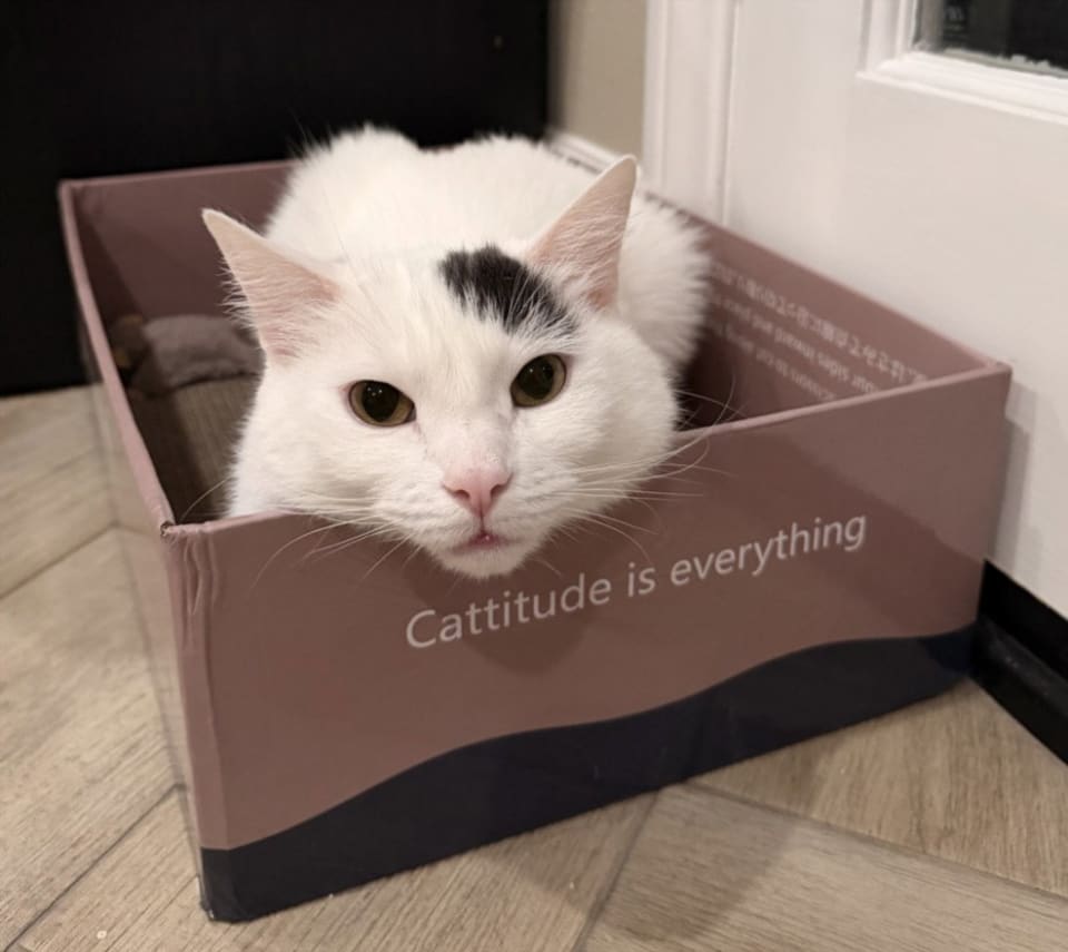 Photo of MARU