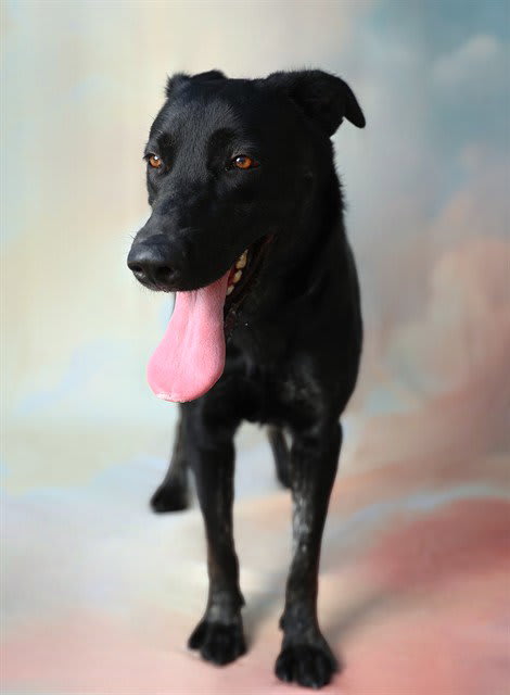 Photo of PRINCESS
