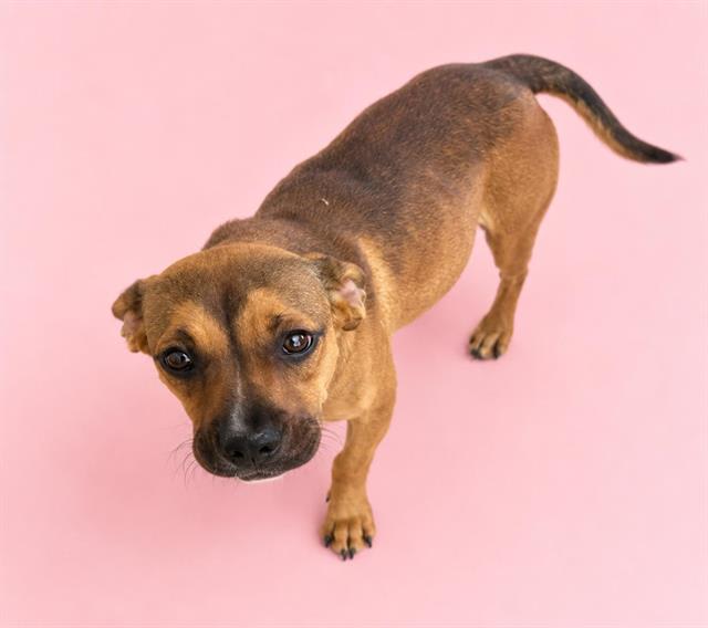 Photo of LUCY