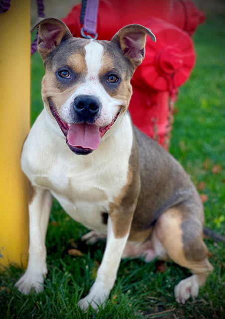 Photo of PETEY