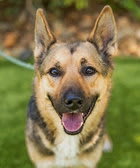 Photo of Sammy