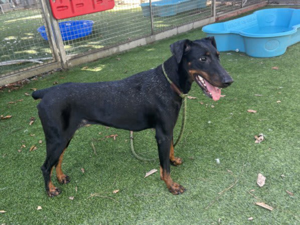 Photo of BEVA