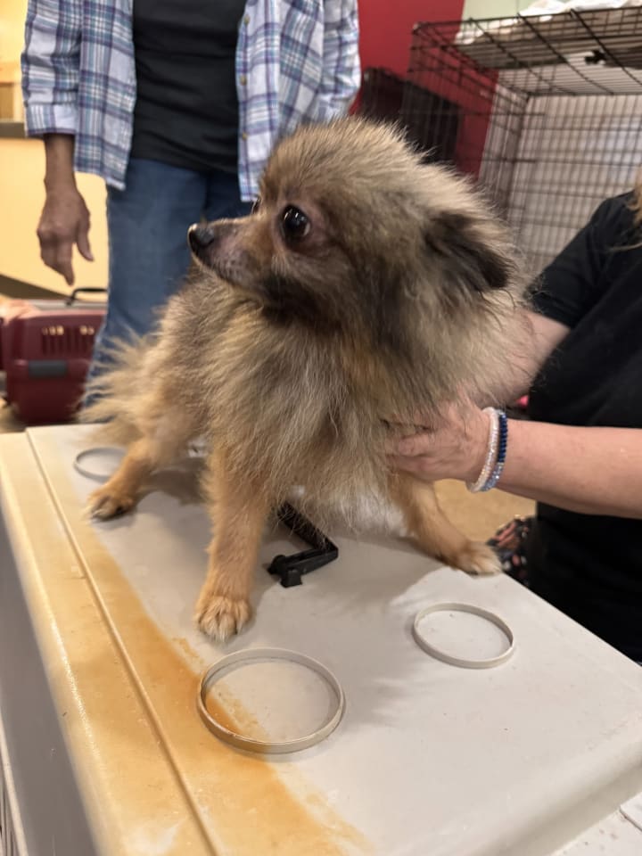 Photo of Buddy FH