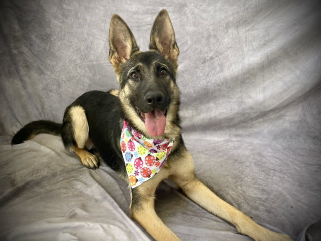 Photo of JUNO