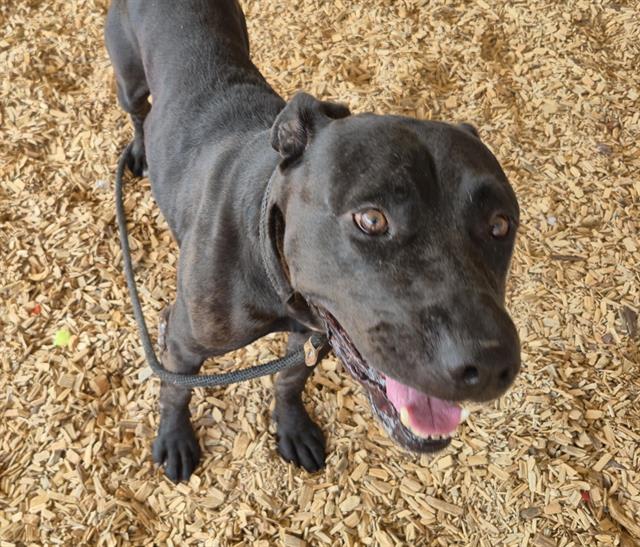 Photo of SPIKE
