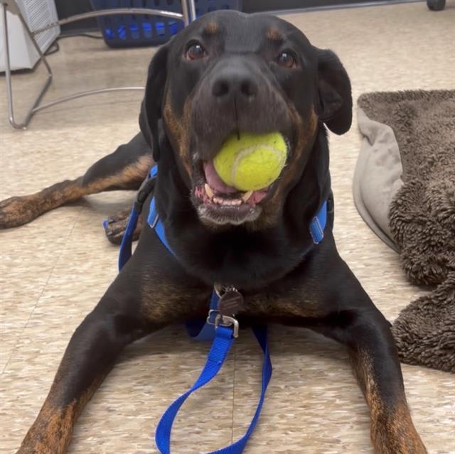 Photo of MIDNIGHT
