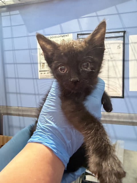 Photo of NOVA