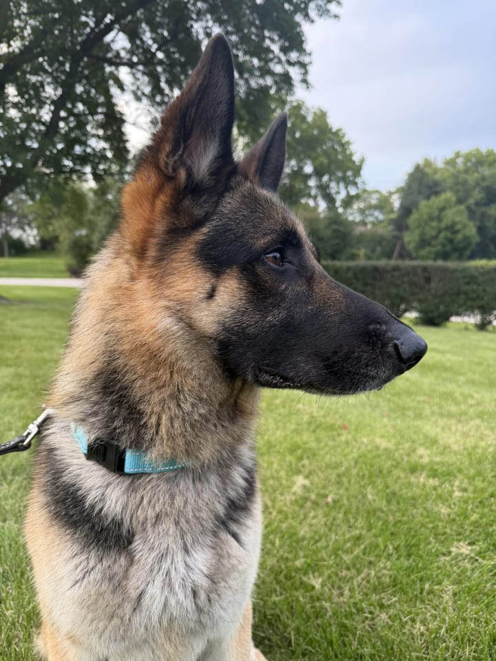 Photo of Remy