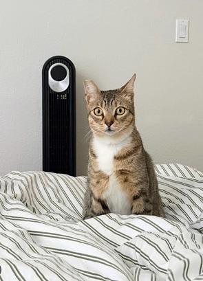 Photo of Tucker