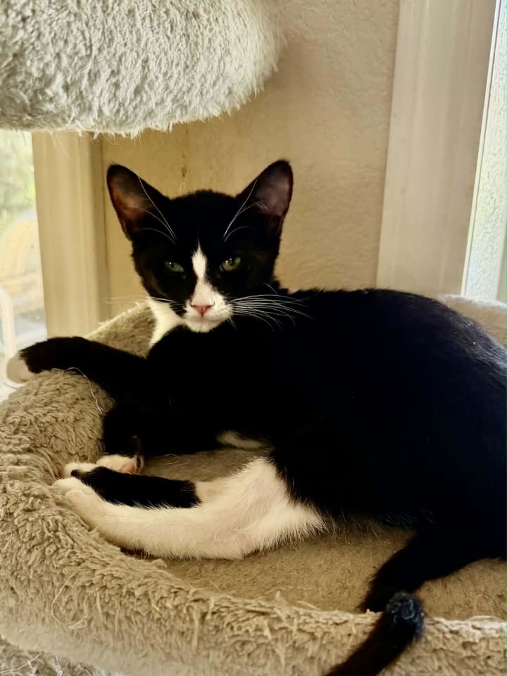 Photo of Daffy