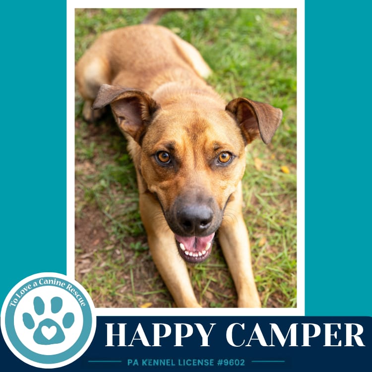 Photo of Happy Camper 082226