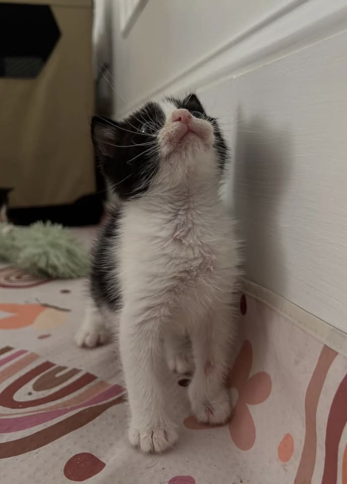 Photo of Bingo