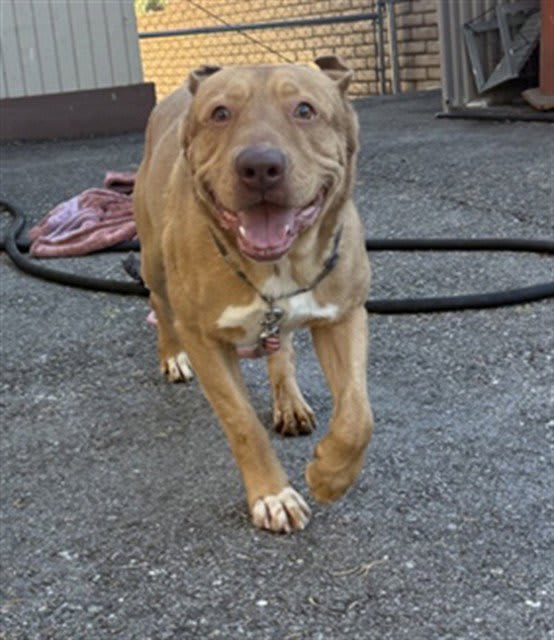 Photo of Gus