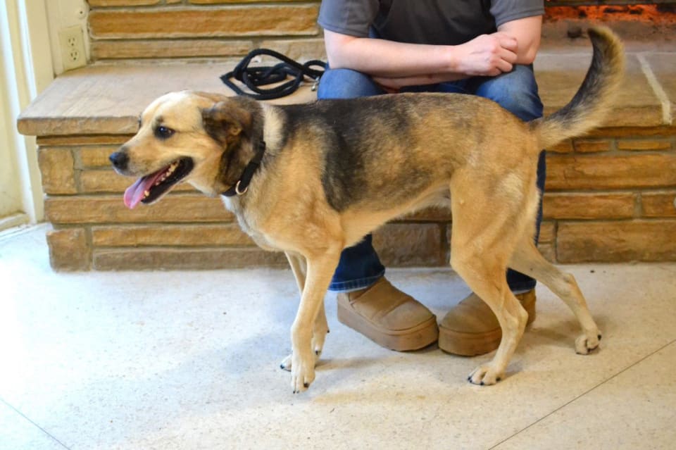 Photo of Roxie