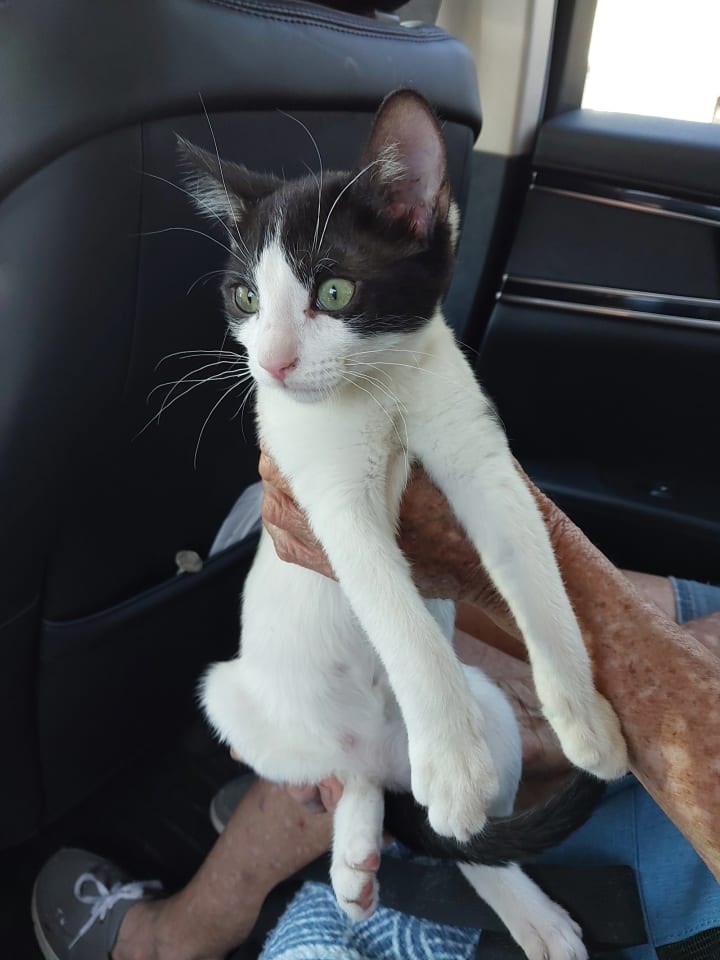 Photo of CAITLAN