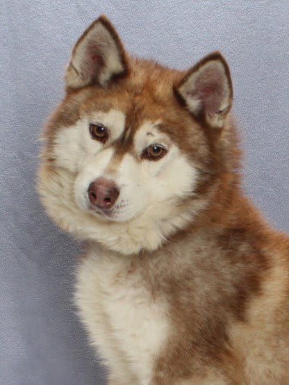 Photo of CHARLIE