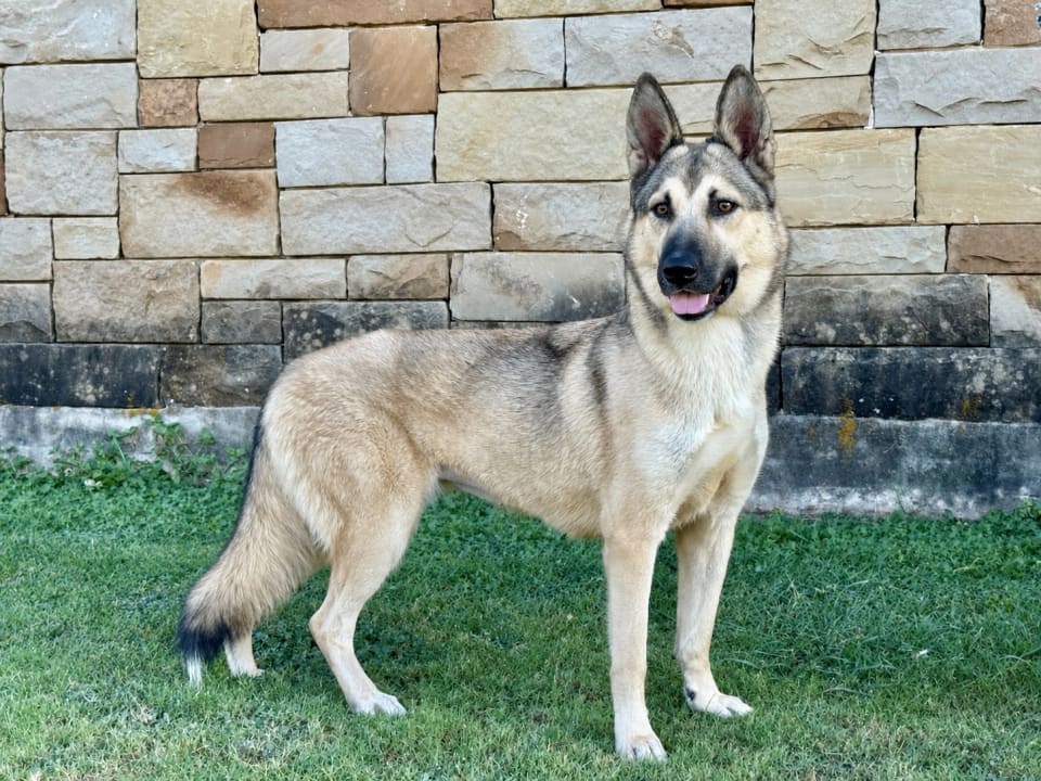 Photo of Priscilla