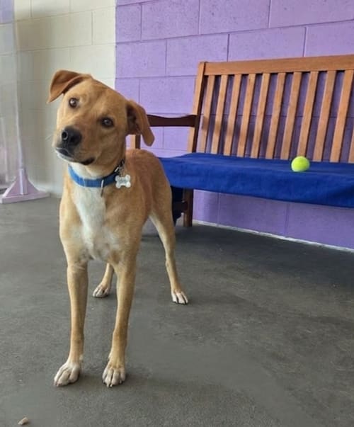 Photo of TUCKER