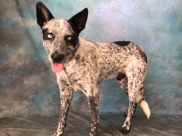 Photo of SPROUT