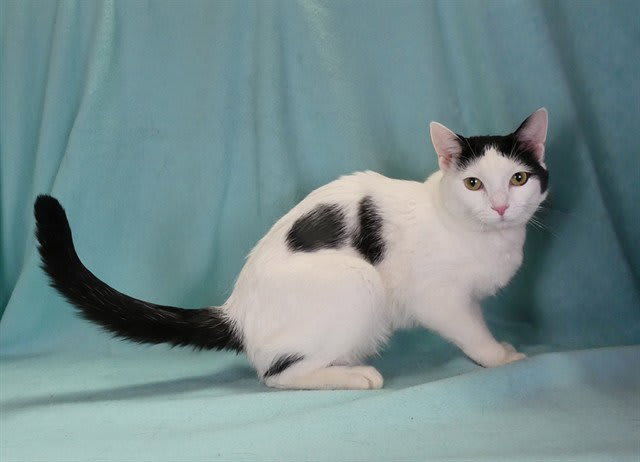Photo of JIJI