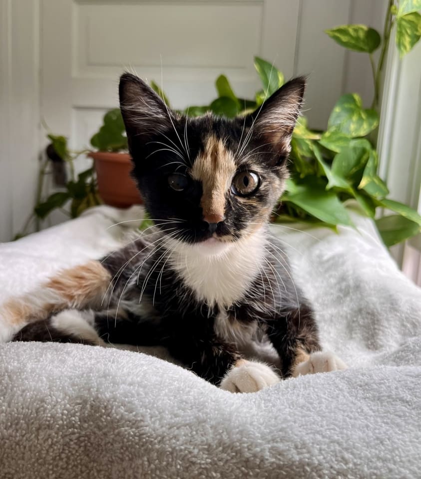 Photo of Alice: Not at the shelter (Fran)