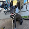 Photo of RAVEN