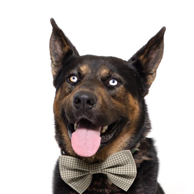 Photo of ZEUS