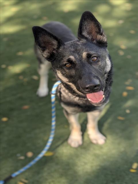 Photo of COSMO