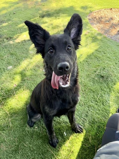 Photo of SUGAR
