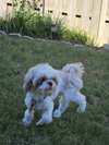 Photo of Georgie Pemberton