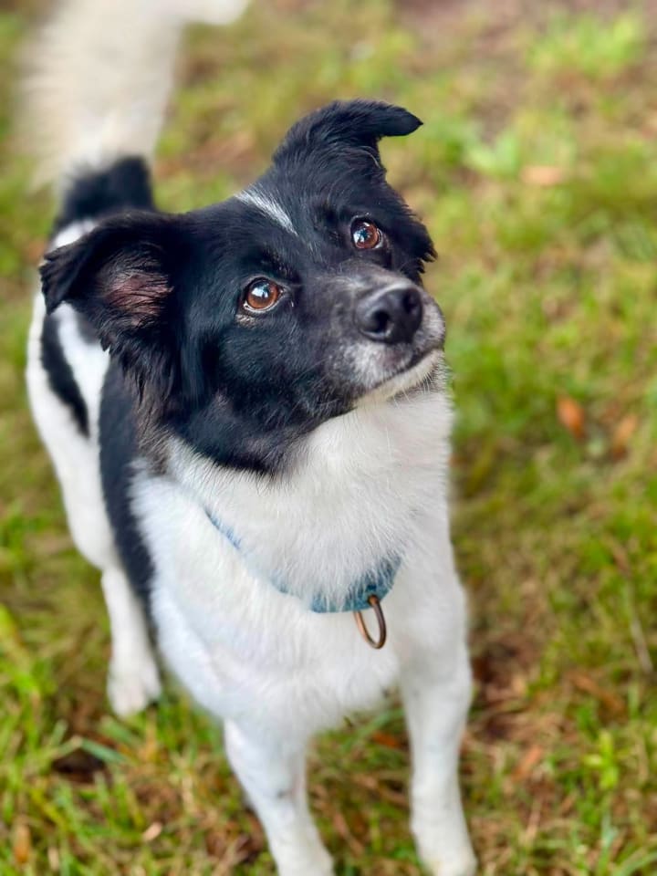 Photo of Coco