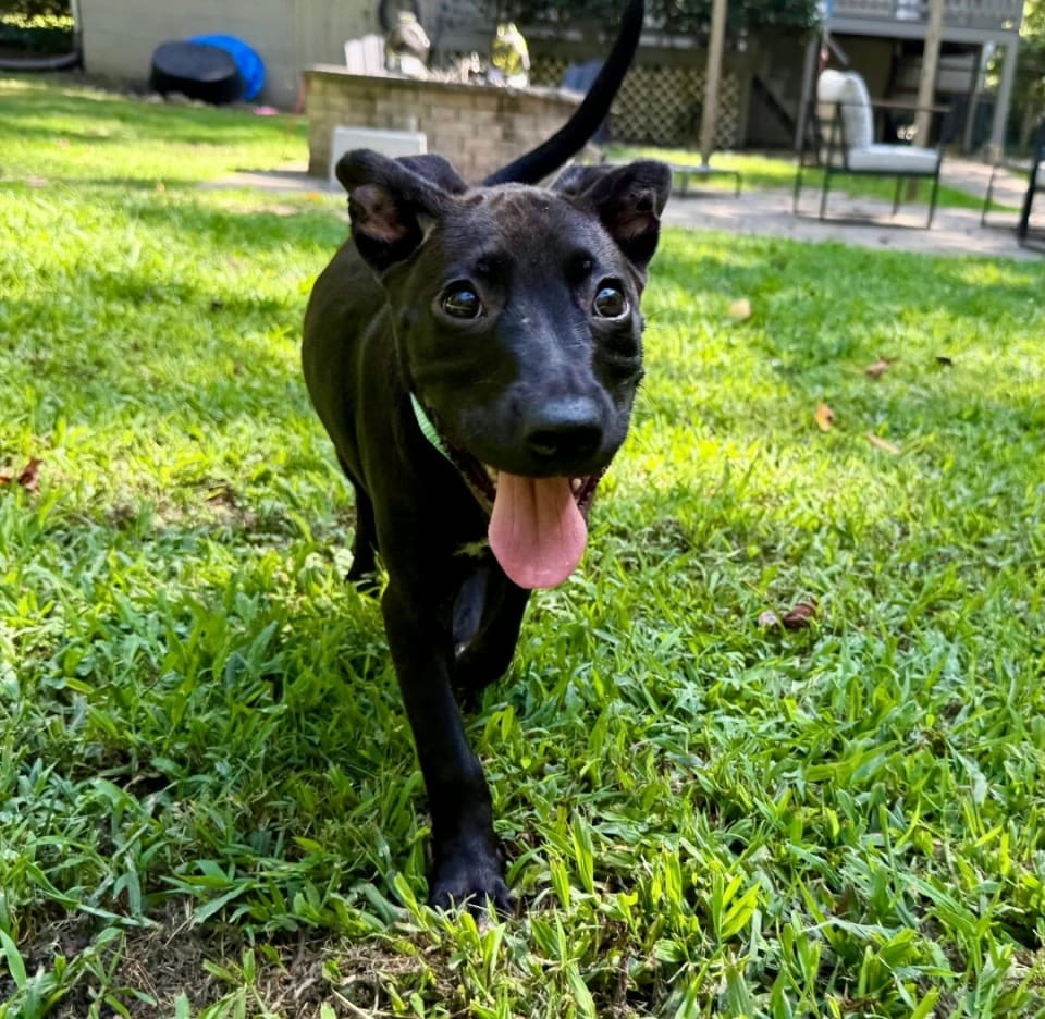 Photo of Xena