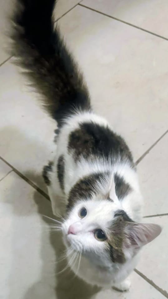 Photo of Yuri