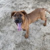 Photo of OAKLEY