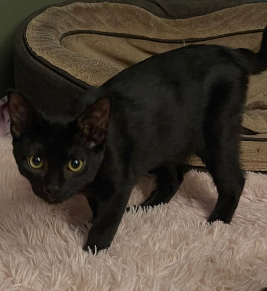 Photo of 26-32 Timmy