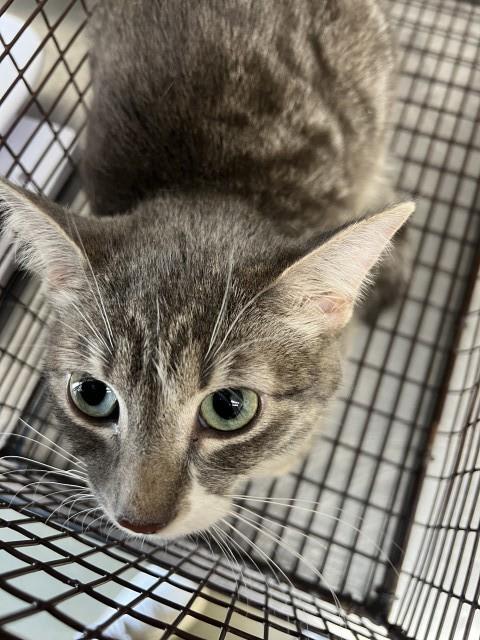 Photo of BUTTERBALL