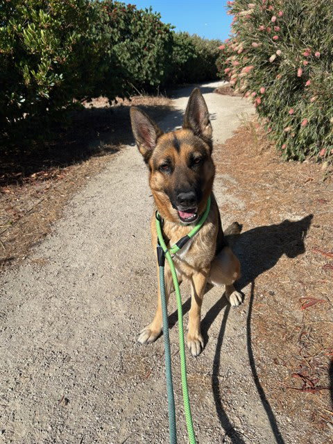 Photo of CLOVER