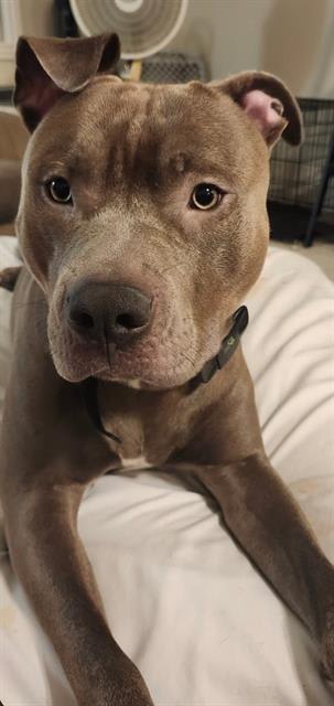 Photo of SMOKEY
