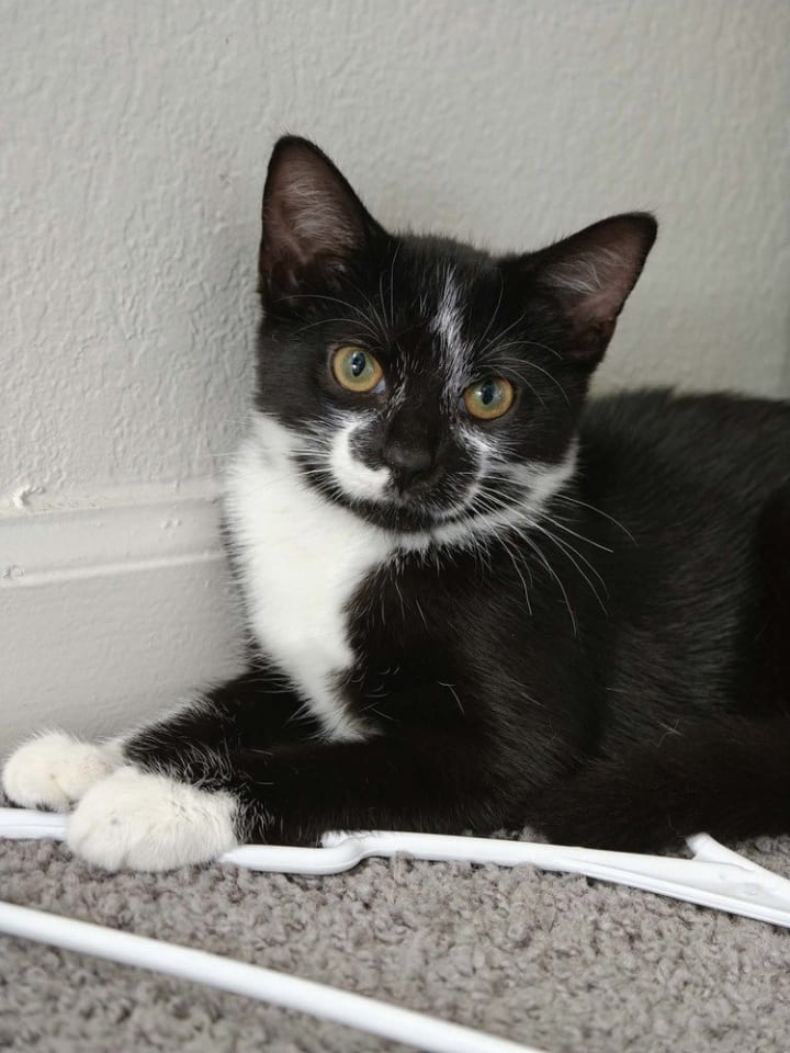 Photo of Lucy