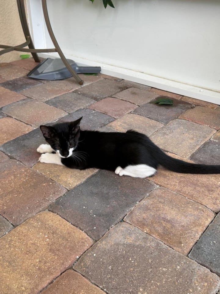Photo of Linus