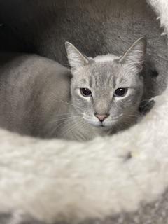 Photo of Luna