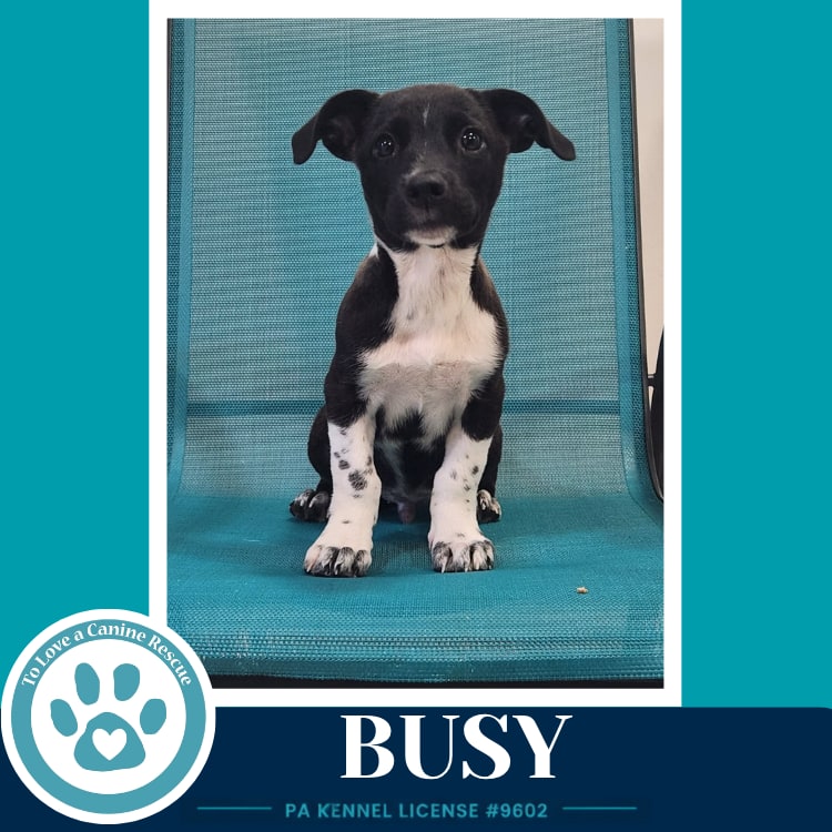 Photo of Busy (Commentary Crew) 082926