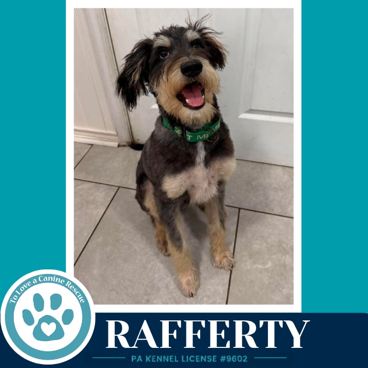 Photo of Rafferty 082926
