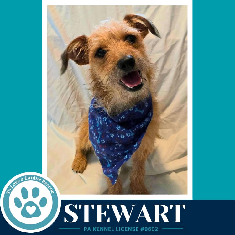 Photo of Stewart 082926