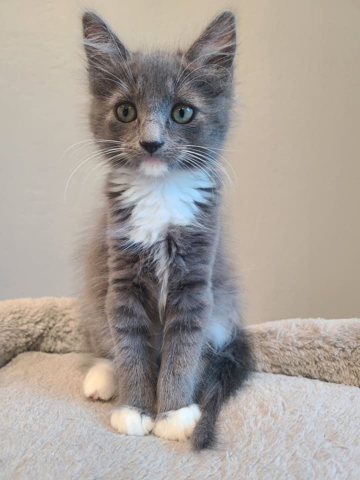 Photo of Clawdia bonded w/Snapple