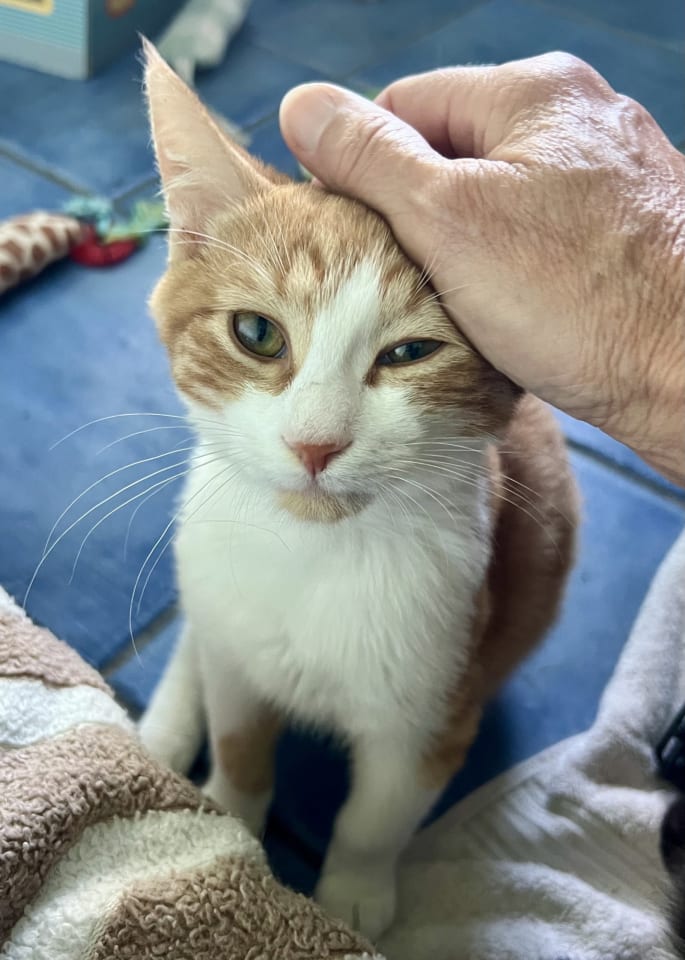 Photo of Nigel